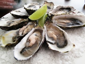 Oyster Farm- Rocky Point